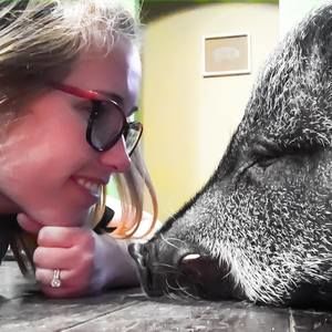 Meet your Posher, Taylor